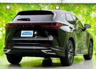 2023 LEXUS NX