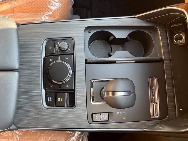 2025 MAZDA CX-60 XD-HYBRID PREMIUM SPORTS