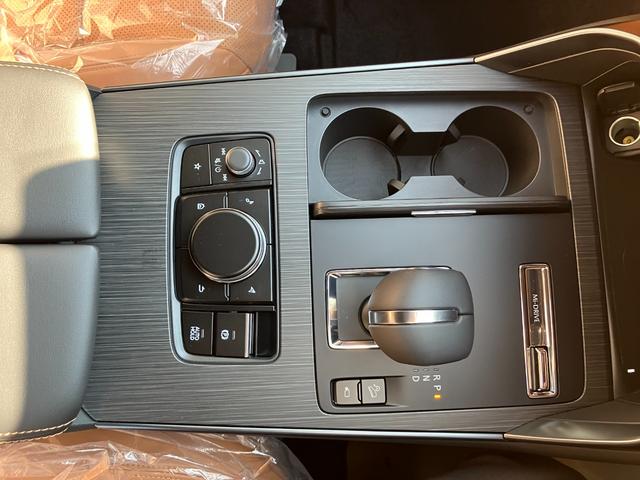 2025 MAZDA CX-60 XD-HYBRID PREMIUM SPORTS