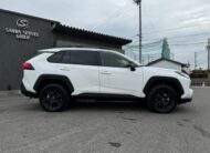 TOYOTA RAV4 2025