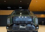 2025 MITSUBISHI DELICA D5