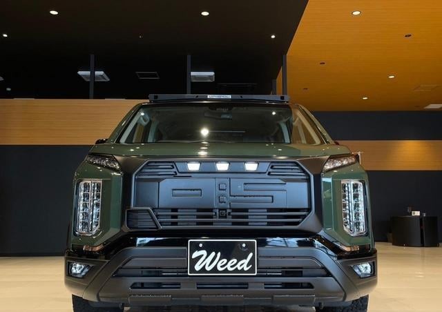 2025 MITSUBISHI DELICA D5