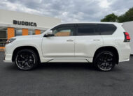 2024 TOYOTA LAND CRUISER