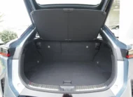 LEXUS RZ RZ450E VERSION L