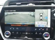 LEXUS RZ RZ450E VERSION L