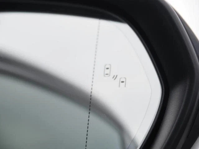 LEXUS RZ RZ450E VERSION L