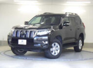 2022 TOYOTA LAND CRUISER PRADO GDJ150W 2.8D-TB TX SR