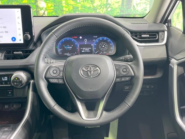 TOYOTA RAV4 2024