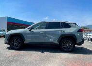 TOYOTA RAV4 2025 Adventure