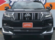TOYOTA LAND CRUISER PRADO 2021