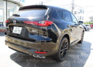 TOYOTA LAND CRUISER PRADO 2021