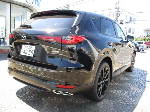 TOYOTA LAND CRUISER PRADO 2021