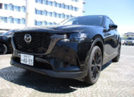 TOYOTA LAND CRUISER PRADO 2021