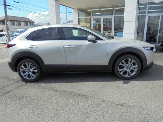 MAZDA CX-30 2024 XD Pro Active Touring Selection