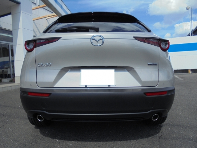 MAZDA CX-30 2024 XD Pro Active Touring Selection