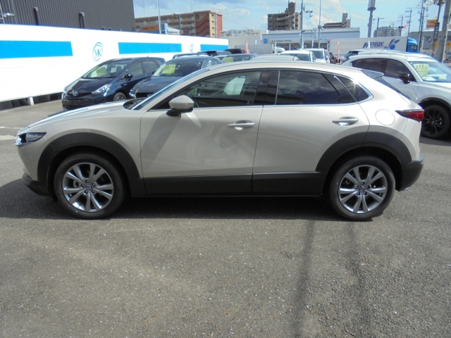 MAZDA CX-30 2024 XD Pro Active Touring Selection