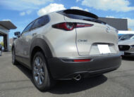 MAZDA CX-30 2024 XD Pro Active Touring Selection