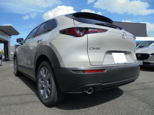 MAZDA CX-30 2024 XD Pro Active Touring Selection