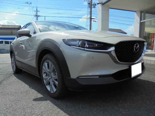 MAZDA CX-30 2024 XD Pro Active Touring Selection