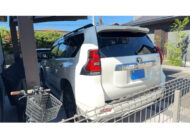 TOYOTA LAND CRUISER PRADO 2024