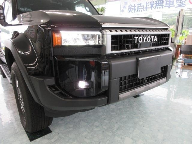 2025 TOYOTA LAND CRUISER