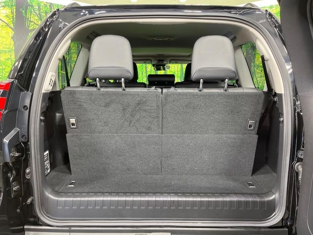 TOYOTA LAND CRUISER PRADO 2024