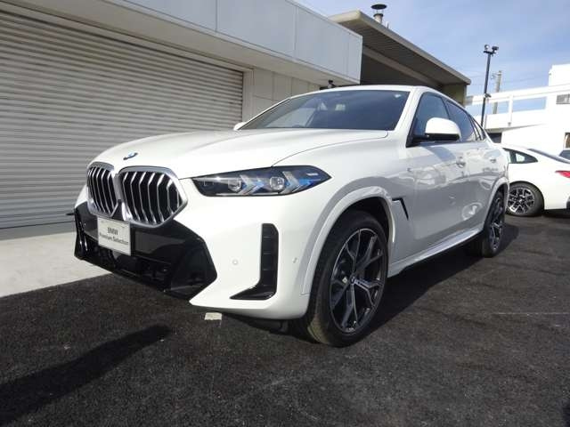 2024 BMW X6