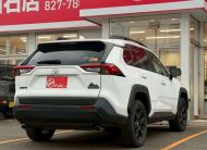 TOYOTA RAV4 2024