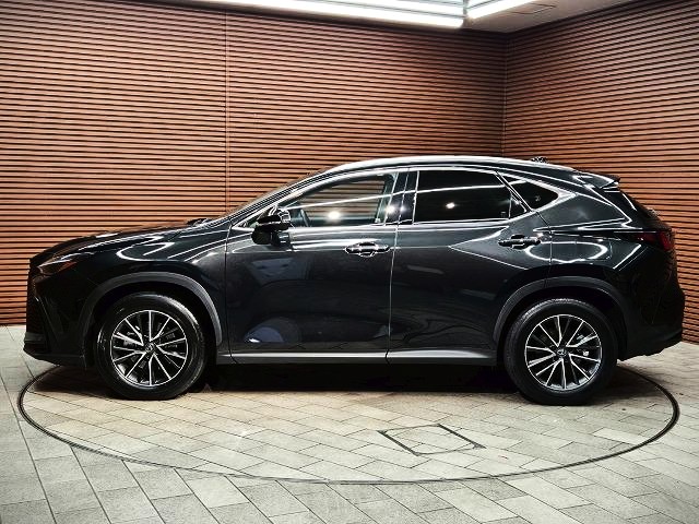 Lexus NX 2,0L 2025