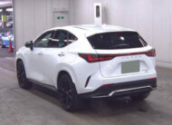 Lexus NX 2,0L 2021