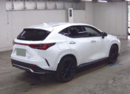Lexus NX 2,0L 2021