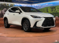 Lexus NX 2,0L 2024