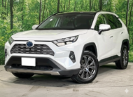 TOYOTA RAV4 2024 G