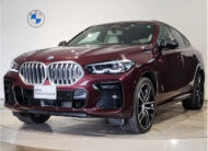 BMW X6 2022