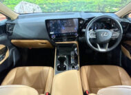 Lexus NX 2,0L 2024